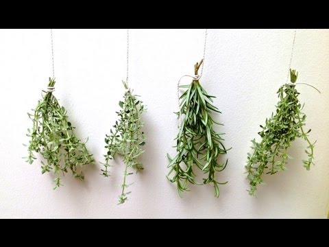 Comment Faire Sécher des Fines Herbes (Aromatiques) (HD)