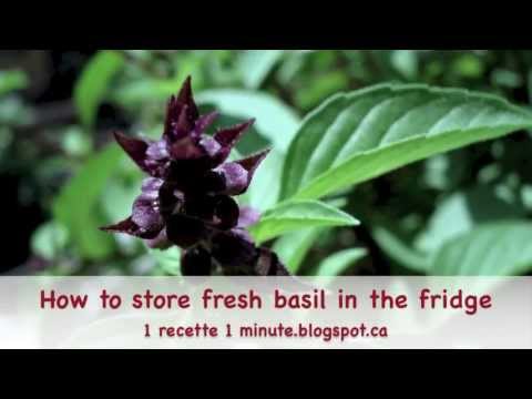 How to store fresh basil in the fridge