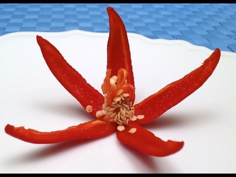 How to Make Flowers with Peppers, Leeks and Scallions (HD)